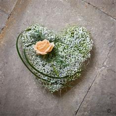 Baby Heart