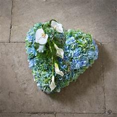Blue Heart