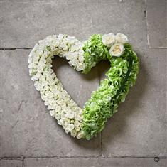 Open Heart
