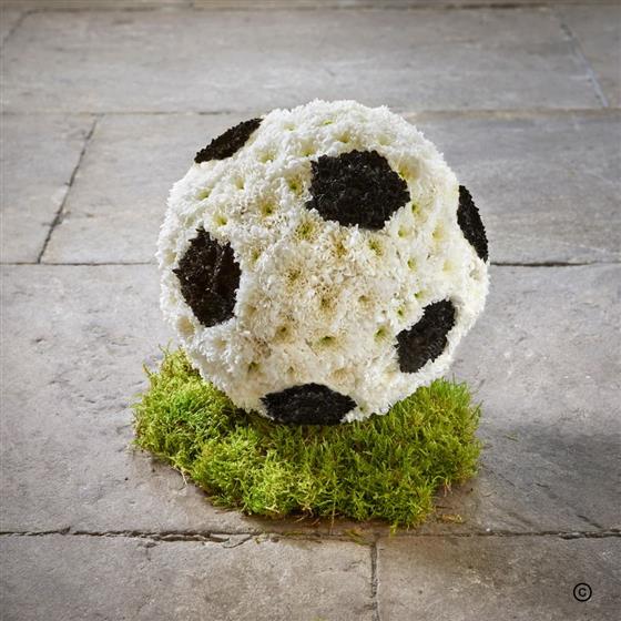 Sports Tributes